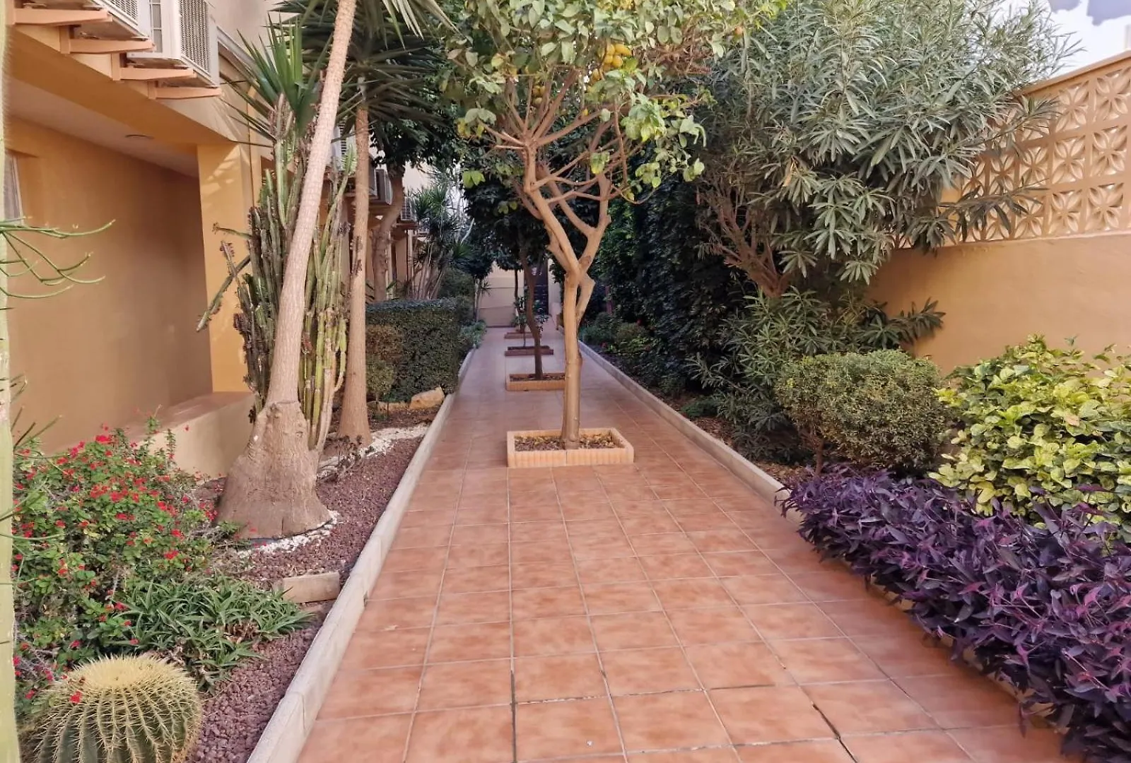 2 Bedroom Beach Front Apartment Benalmádena 0*,  Španělsko